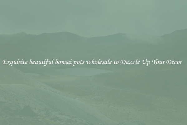 Exquisite beautiful bonsai pots wholesale to Dazzle Up Your Décor  