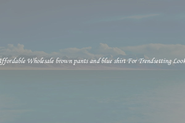 Affordable Wholesale brown pants and blue shirt For Trendsetting Looks