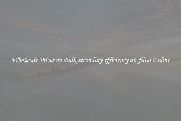 Wholesale Prices on Bulk secondary efficiency air filter Online