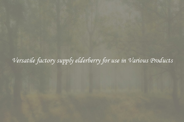Versatile factory supply elderberry for use in Various Products