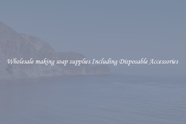 Wholesale making soap supplies Including Disposable Accessories 