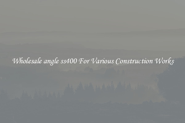 Wholesale angle ss400 For Various Construction Works