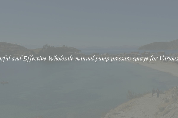 Powerful and Effective Wholesale manual pump pressure spraye for Various Uses