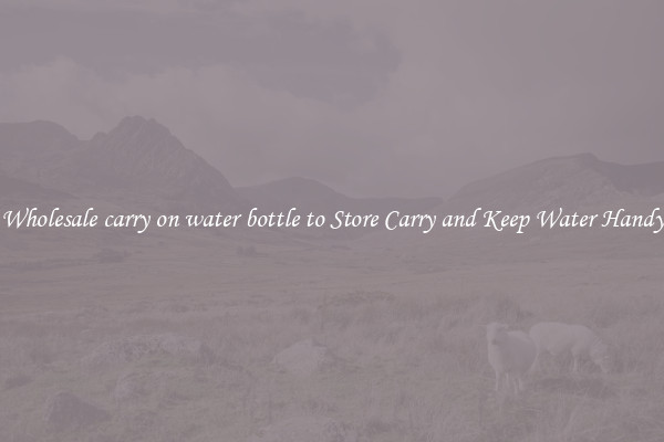 Wholesale carry on water bottle to Store Carry and Keep Water Handy