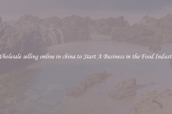 Wholesale selling online in china to Start A Business in the Food Industry