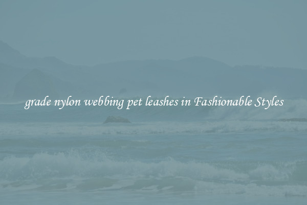 grade nylon webbing pet leashes in Fashionable Styles