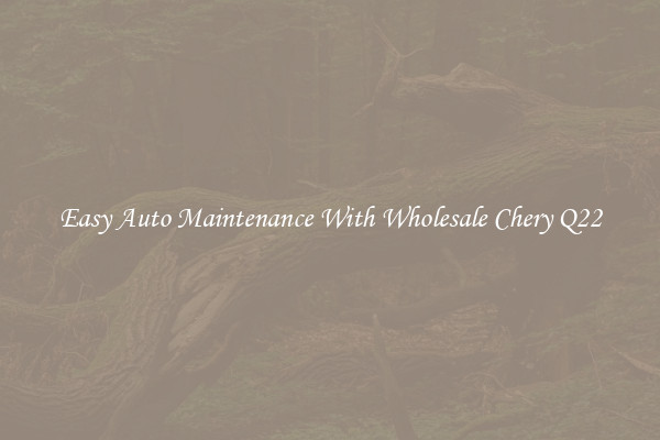 Easy Auto Maintenance With Wholesale Chery Q22