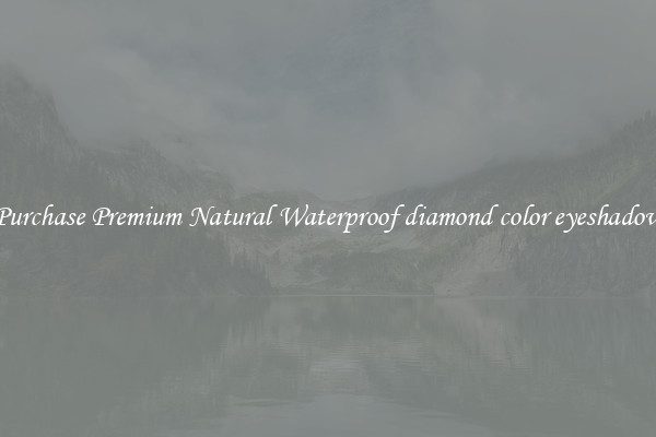 Purchase Premium Natural Waterproof diamond color eyeshadow