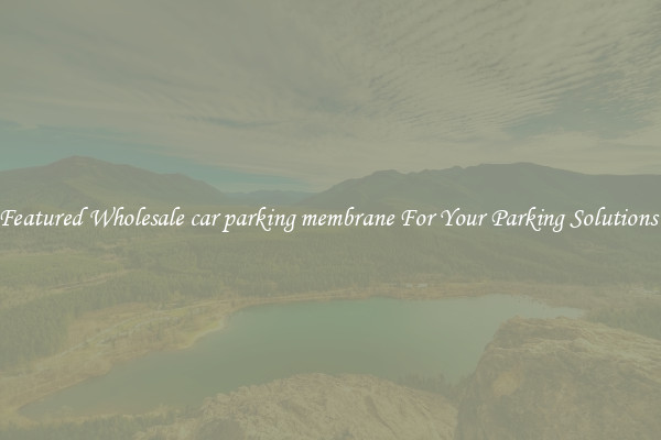 Featured Wholesale car parking membrane For Your Parking Solutions 