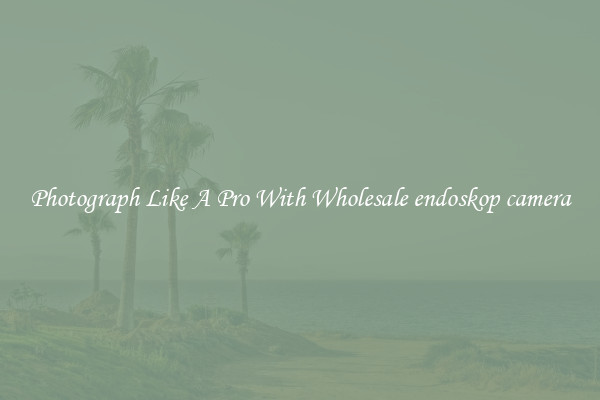 Photograph Like A Pro With Wholesale endoskop camera