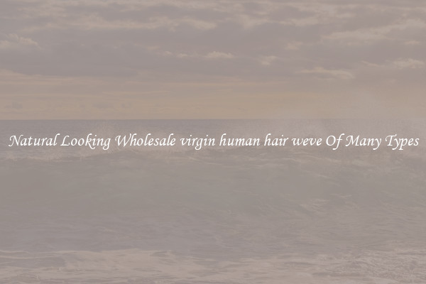 Natural Looking Wholesale virgin human hair weve Of Many Types