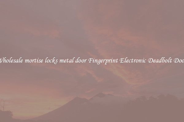 Wholesale mortise locks metal door Fingerprint Electronic Deadbolt Door 