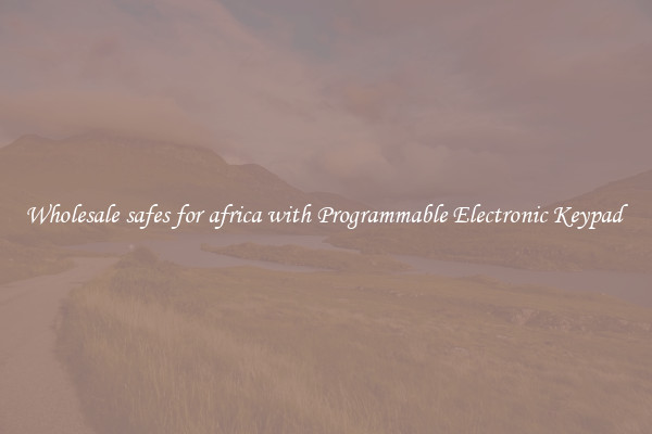 Wholesale safes for africa with Programmable Electronic Keypad 