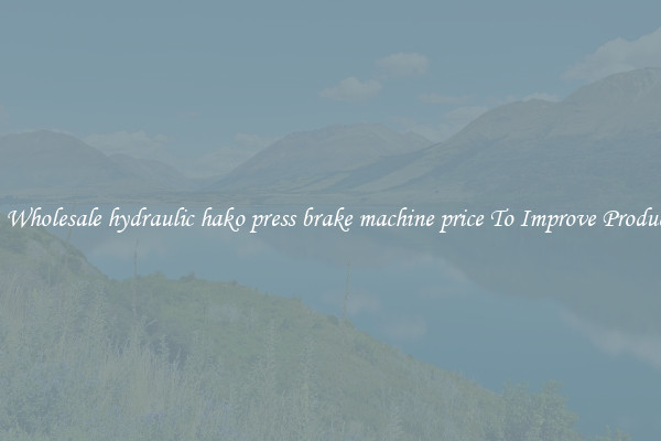 Get A Wholesale hydraulic hako press brake machine price To Improve Productivity
