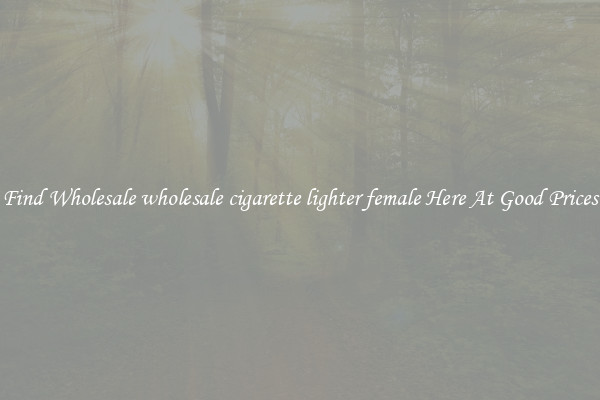 Find Wholesale wholesale cigarette lighter female Here At Good Prices