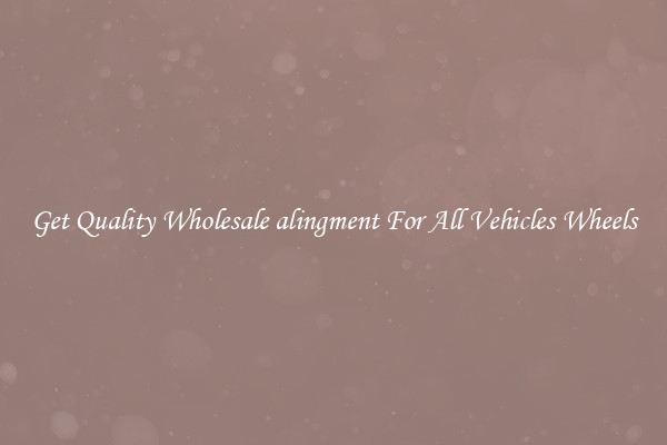 Get Quality Wholesale alingment For All Vehicles Wheels